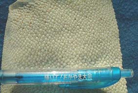 鮫